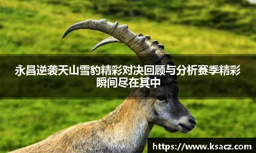永昌逆袭天山雪豹精彩对决回顾与分析赛季精彩瞬间尽在其中